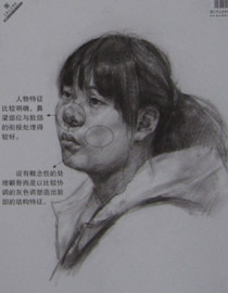 2013年中国美术学院素描优秀试卷51