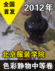 2012年北京服装学院色彩静物中等卷