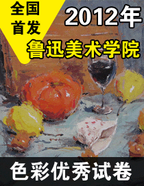 2012年鲁迅美术学院色彩优秀试卷