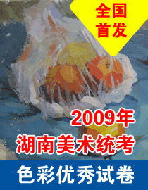 2009年湖南美术统考色彩高分试卷