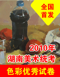 2010年湖南美术统考色彩优秀试卷