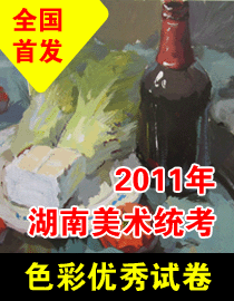 2011年湖南美术统考色彩优秀试卷