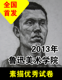 2013年鲁迅美术学院素描优秀试卷