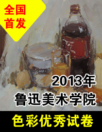 2013年鲁迅美术学院色彩优秀试卷