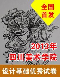 2013年四川美术学院设计基础优秀试卷
