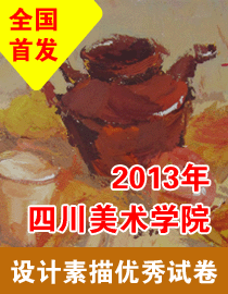 2013年四川美术学院设计色彩优秀试卷