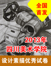 2013年四川美术学院设计素描优秀试卷