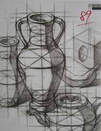 2013年四川美术学院设计素描优秀试卷（45）