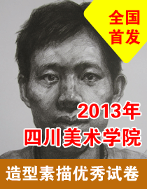 2013年四川美术学院造型素描优秀试卷