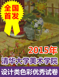 2015年清华大学美术学院设计类色彩优秀试卷