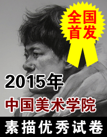 2015年中国美术学院素描高分卷