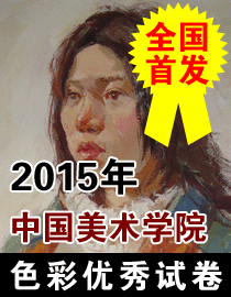 2015年中国美术学院色彩高分卷