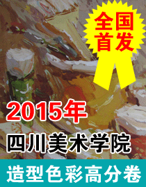 2015年四川美术学院造型色彩高分卷