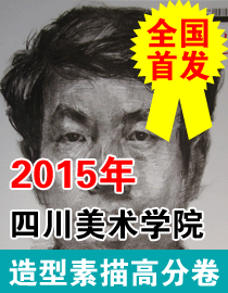2015年四川美术学院造型素描头像高分卷