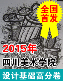 2015年四川美术学院设计基础高分卷