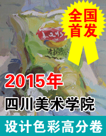 2015年四川美术学院设计色彩高分卷
