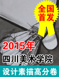 2015年四川美术学院设计素描高分卷