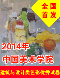 2014年中国美术学院建筑与设计类色彩优秀试卷