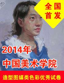 2014年中国美术学院造型图媒类色彩优秀试卷