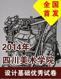 2014年四川美术学院设计基础优秀试卷