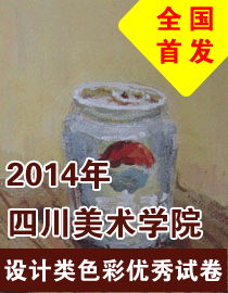 2014年四川美术学院设计类色彩优秀试卷