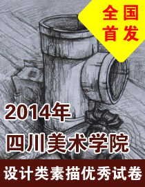 2014年四川美术学院设计类素描优秀试卷