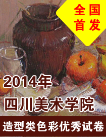 2014年四川美术学院造型类色彩高分卷