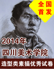2014年四川美术学院造型类素描高分卷
